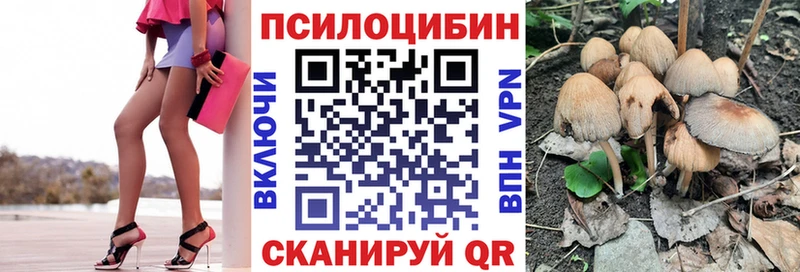 гидра как войти  как найти наркотики  Высоцк  Псилоцибиновые грибы мухоморы 